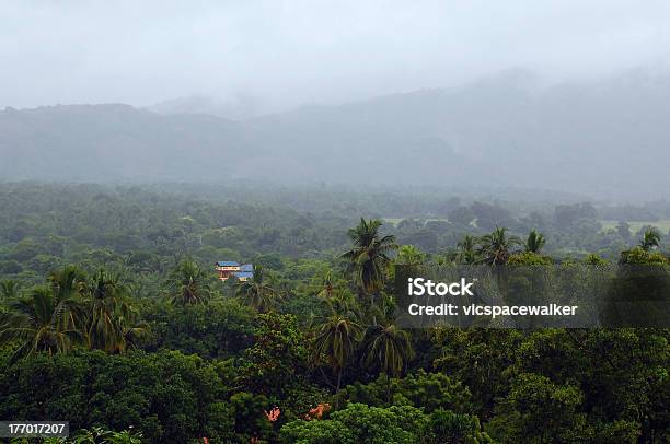 Foggy Vegetation Von Sri Lanka Stockfoto und mehr Bilder von Villa - Villa, Anhöhe, Asien