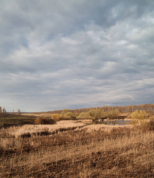 istock Weather worsens. April's landscape in the evening. 177017520