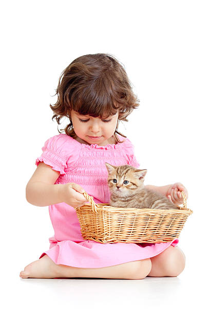 istock funny child playing with Scottish kitten 177017682