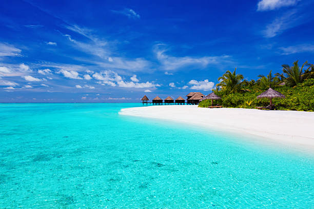 istock Tropical island with palm trees and villas over lagoon 177017884