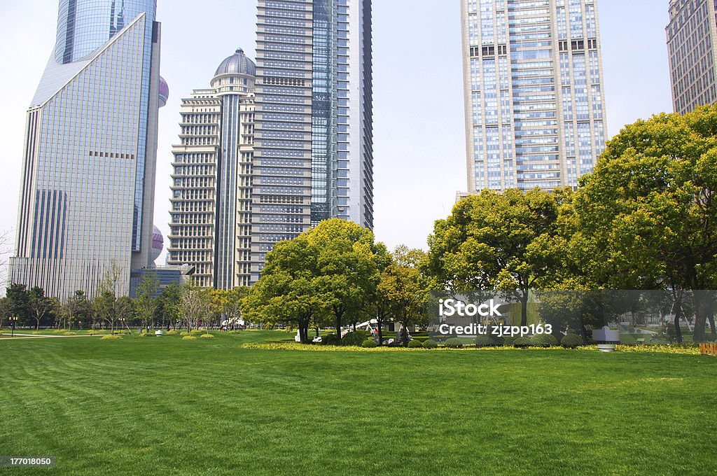 上海の芝生と建物 - 全景のロイヤリティフリーストックフォト