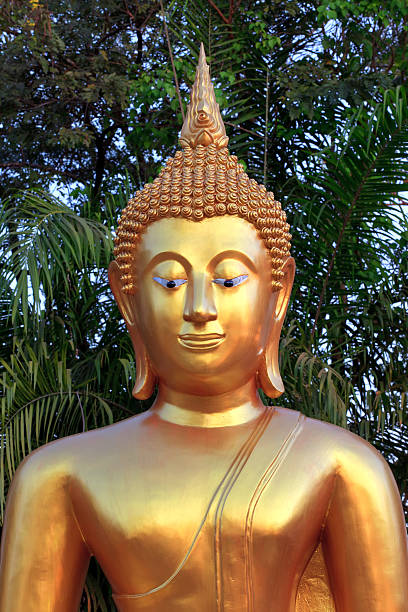 Buda Retrato - fotografia de stock