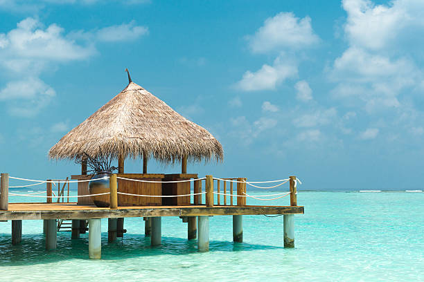 해변 전망 - hut maldives beach hut jetty 뉴스 사진 이미지