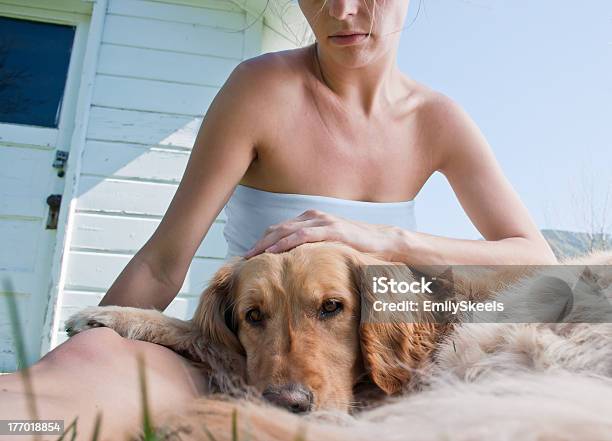 Dog I Towarzysz - zdjęcia stockowe i więcej obrazów Dorosły - Dorosły, Fotografika, Golden retriever