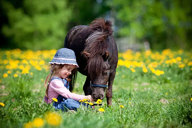 Child and small horse in the field at spring.