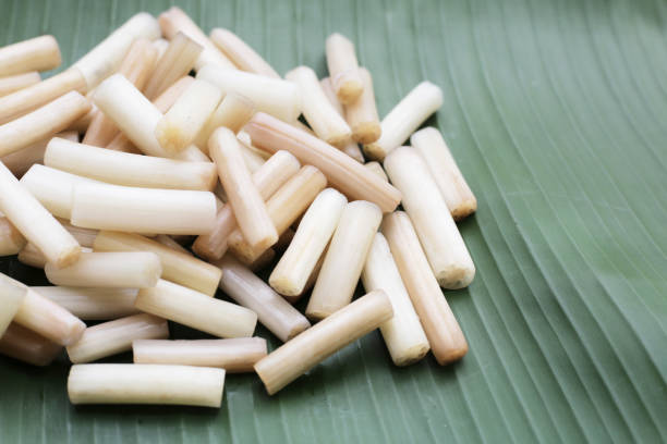 istock Fresh lotus rootlet on banana leaf 1770194332