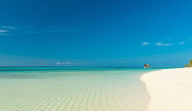 istock beautiful beach on the maldives 177019505