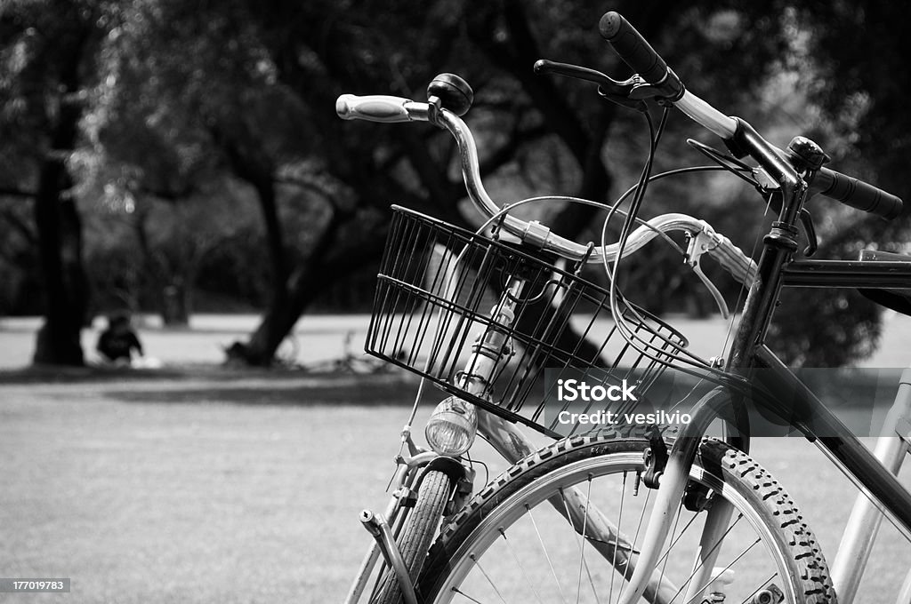 Bikes in the park Two parked bicycles in a metropark. Bicycle Stock Photo