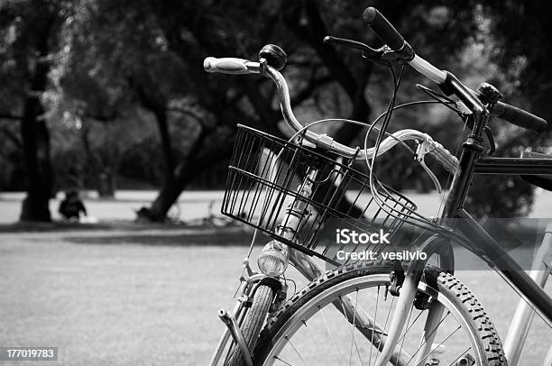 Bikes In The Park Stock Photo - Download Image Now - Bicycle, Bicycle Frame, Black And White