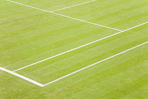 cancha de tenis de césped - baseline fotografías e imágenes de stock