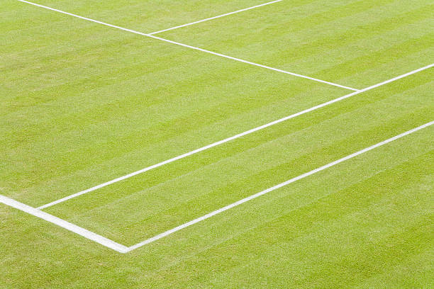 campo da tennis in erba - baseline foto e immagini stock