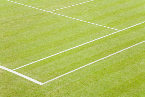 Detail of white lines on a grass tennis courtSimilar images from my portfolio: