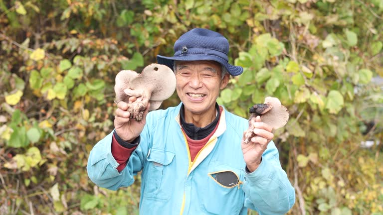 Japanese man showing his Koutake mushrooms he found in a forest