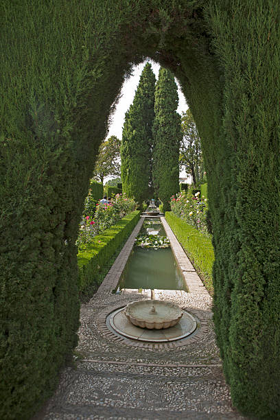 istock Alhambra- General life garden 177020926