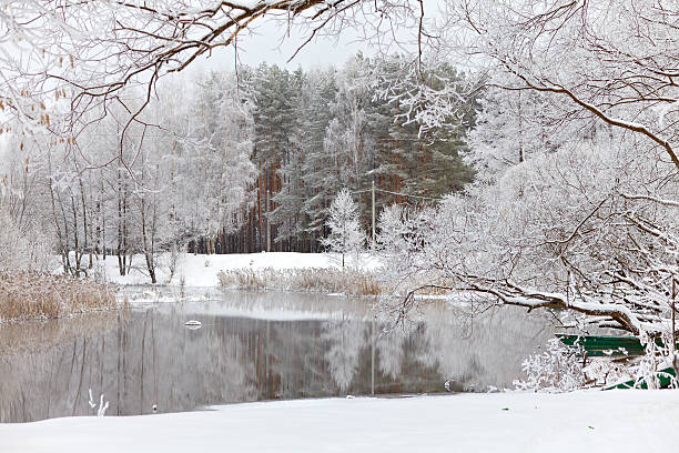 istock Trees in snow and the lake January 177021592
