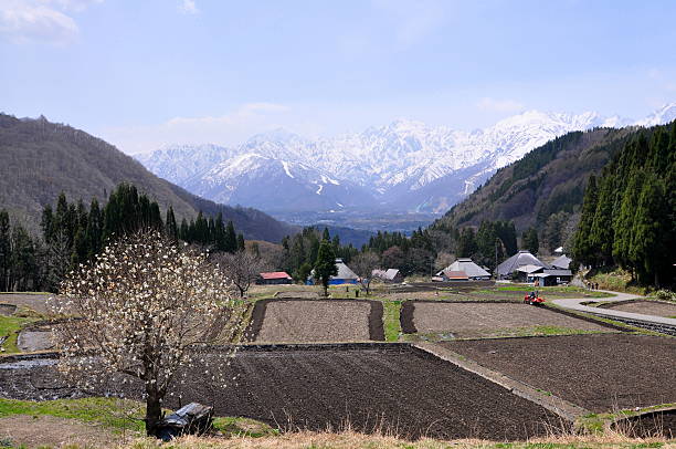 Aoni village "It is a mountain village located in Hakuba-mura,Kitaazumi-gun, Nagano.There is an irrigation canal with large-scale Tanada, and these are appointed to 100 selections of Japanese Tanada. In addition, the whole village is appointed in the important traditional buildings preservation district." ksar stock pictures, royalty-free photos & images
