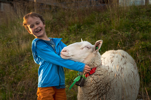 Young boy hugging a sheep