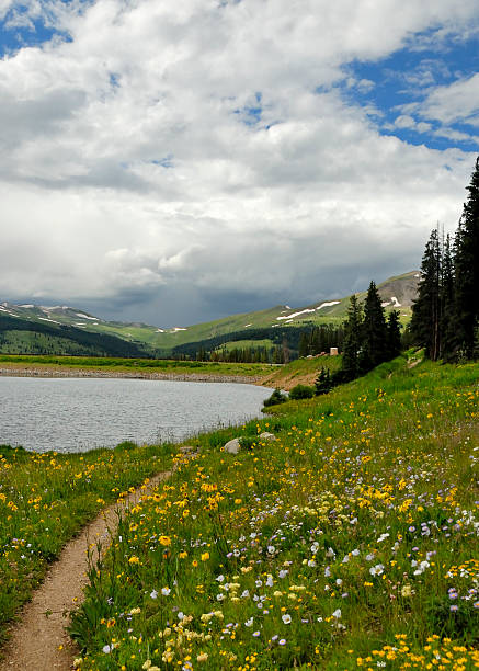 istock Clinton Gulch Reservoir Near Climax CO 177022889
