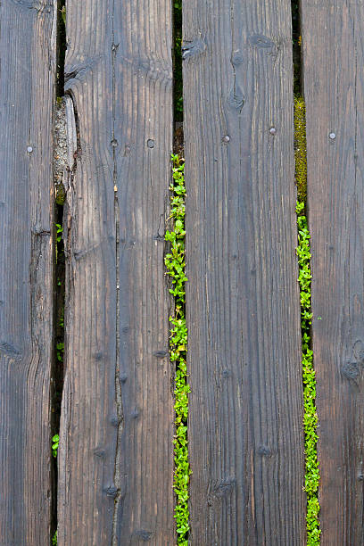 Old Wood Fence stock photo