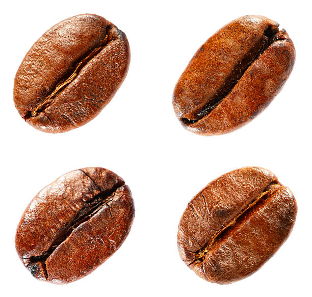 istock Coffee beans isolated on white background. 177023605