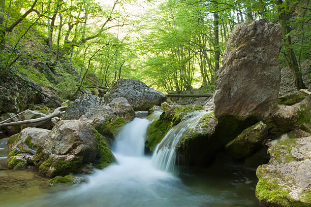 mountain river in the spring stock photo