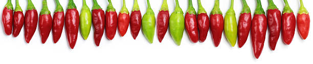 Chilli stock photo