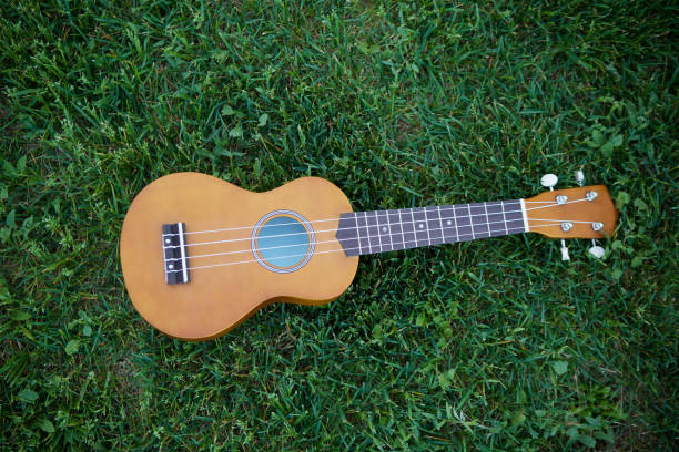 istock Stringed musical instrument little Hawaiian guitar lying on the green grass. 1770249886