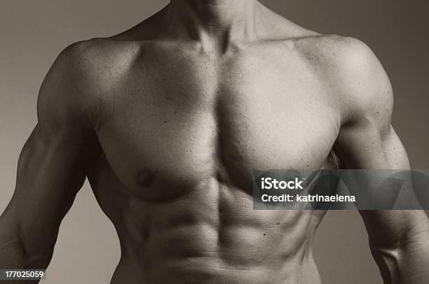 Photo libre de droit de Torse Musclé Dun Homme banque d'images et plus d'images libres de droit de Abdomen - Abdomen, Adulte, Adulte d'âge moyen