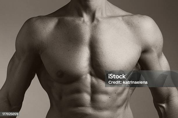 Tronco De Um Homem Muscular - Fotografias de stock e mais imagens de 30-39 Anos - 30-39 Anos, Abdómen, Abdómen Humano