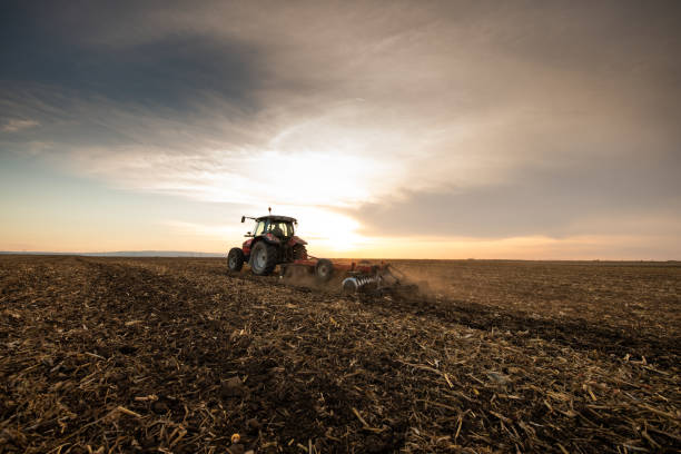 istock Farmer preparing his field in a tractor 1770257939