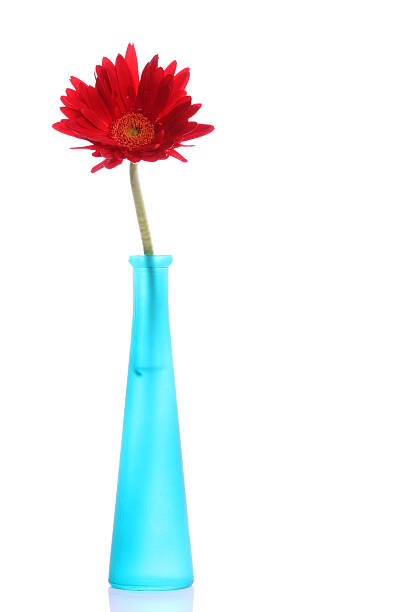 istock Fresh red gerbera in round vase 177026028