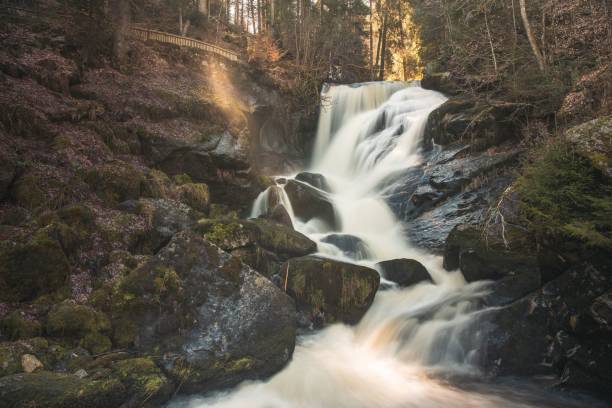 A beautiful waterfall cascades down a rocky hillside, surrounded by tall trees. Black Forest, Germany