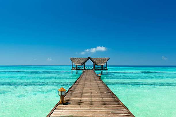 돌제 인도양의 - hut maldives beach hut jetty 뉴스 사진 이미지