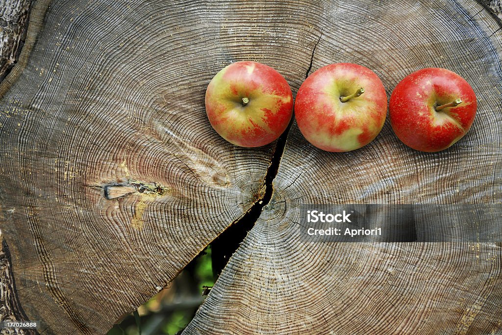 Manzanas de troncos corte - Foto de stock de Agrietado libre de derechos