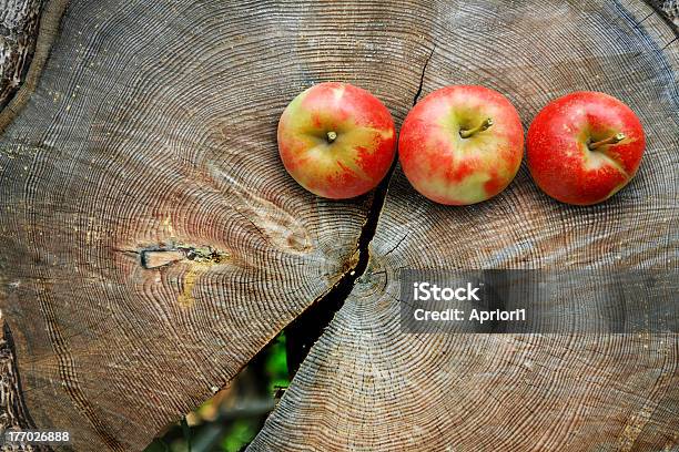 Manzanas De Troncos Corte Foto de stock y más banco de imágenes de Agrietado - Agrietado, Manzana, Aire libre