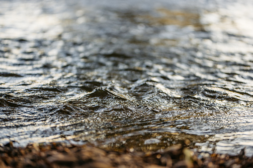 Close-up of river water.