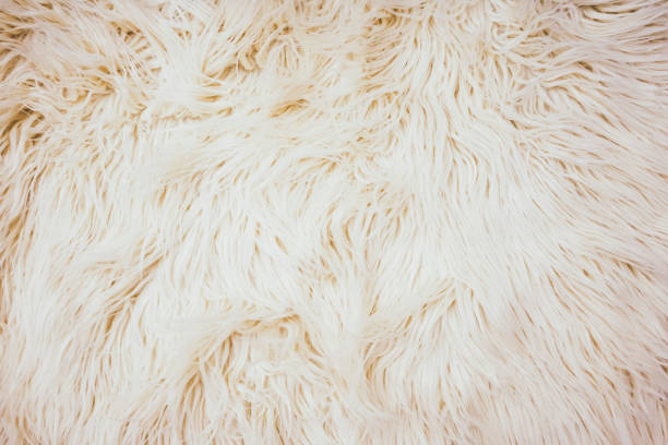 istock Beige and cozy textured background of artificial fur 1770282782