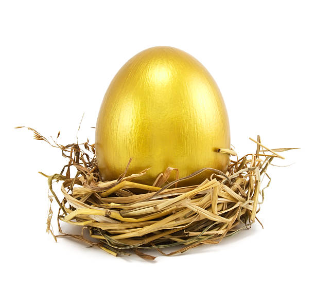 golden eggs in nest golden eggs in nest isolated on white nest egg stock pictures, royalty-free photos & images