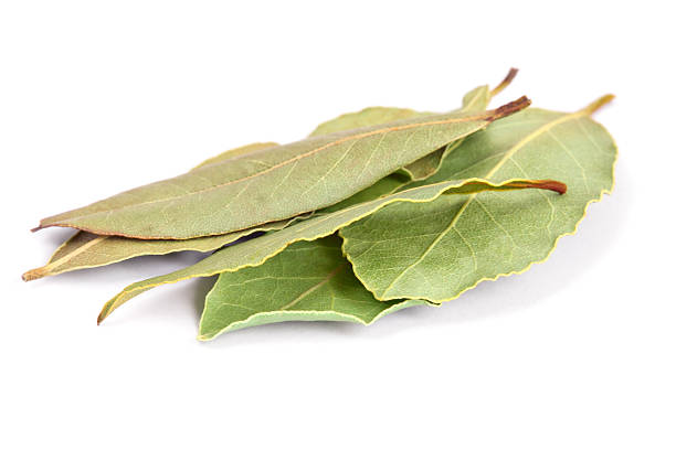 istock Bay Leaves isolated on white background. 177028384