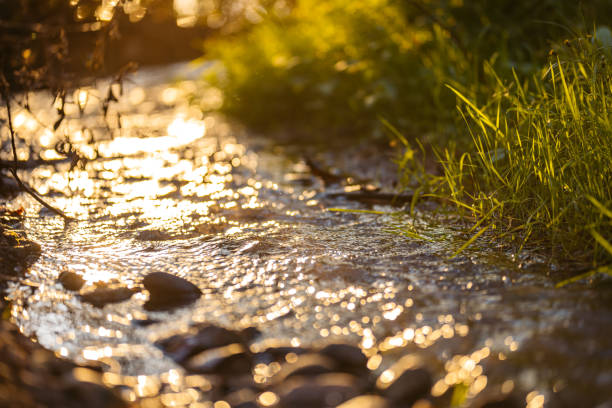 little spring creek