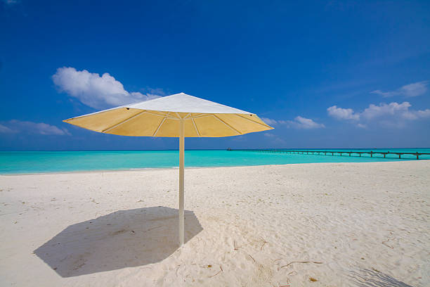 istock sunshade at the beach 177028571