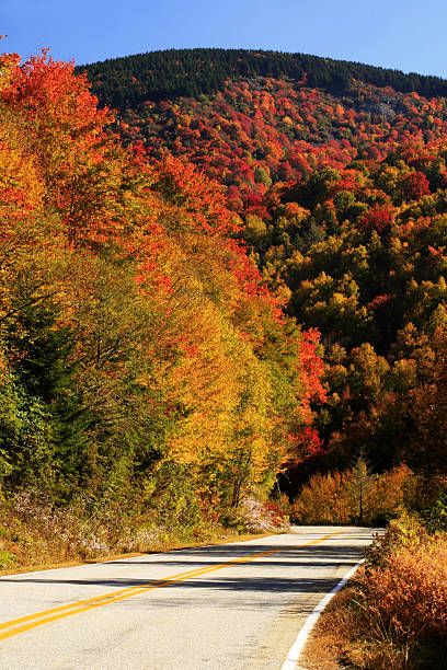istock autumn on blue ridge parkway 177028745