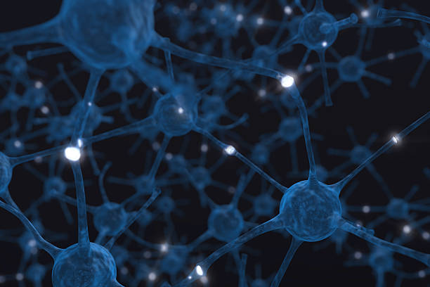 Neurons stock photo