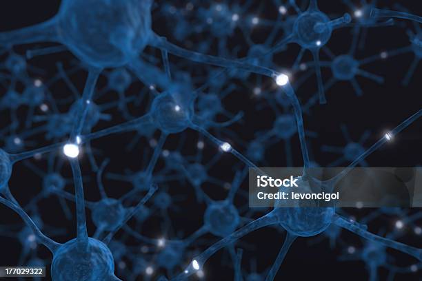 Neurons Stock Photo - Download Image Now - Biological Cell, Biology, Brain