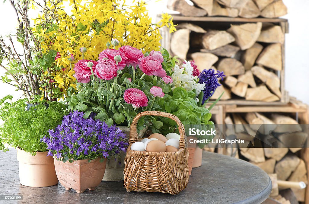 Kolorowe Wiosna kwiatów i Wielkanoc jaja Dekoracja - Zbiór zdjęć royalty-free (Jaskier azjatycki)