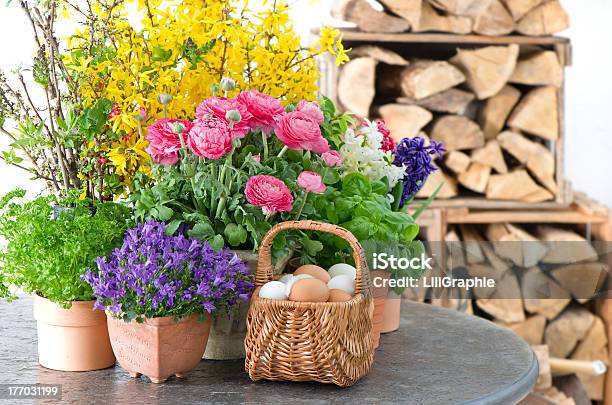 Kolorowe Wiosna Kwiatów I Wielkanoc Jaja Dekoracja - zdjęcia stockowe i więcej obrazów Jaskier azjatycki - Jaskier azjatycki, Kosz, Aranżacja