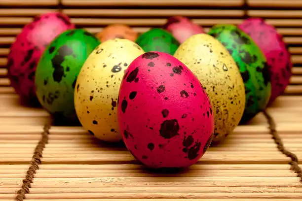 color quail eggs on wood background