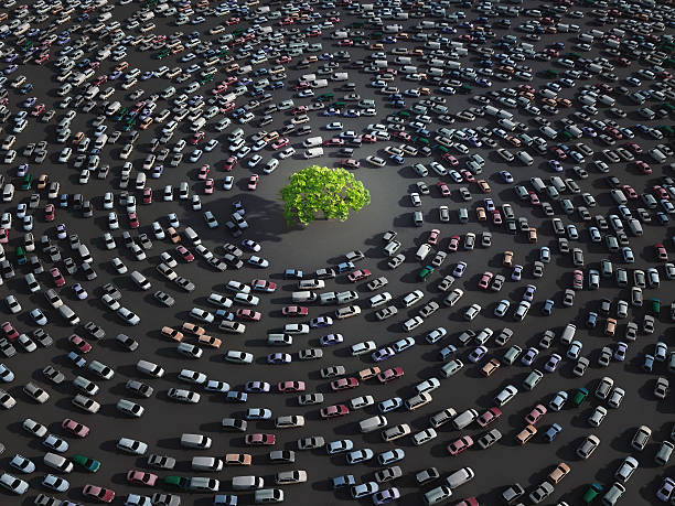 green tree umgeben von autos - traffic urban scene city nature stock-fotos und bilder