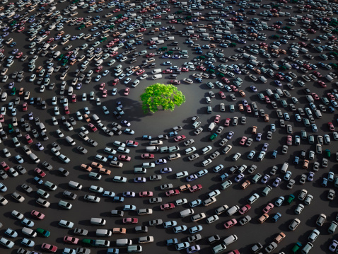 green tree surrounded by cars