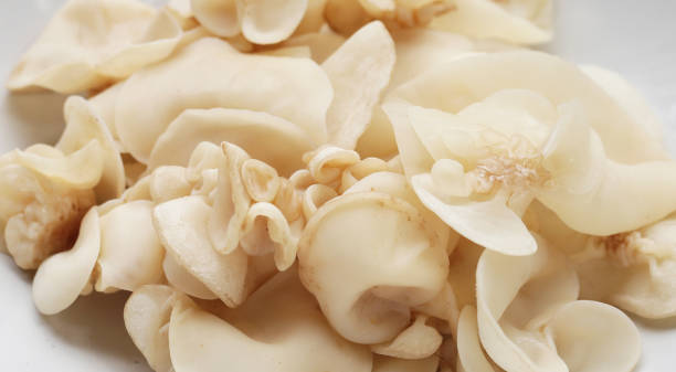istock White jelly mushroom or white ear mushroom 1770323901